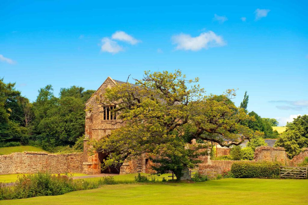 A large tree stands in front of an old stone building with arched windows, surrounded by green grass and fields under a bright blue sky with a few clouds.